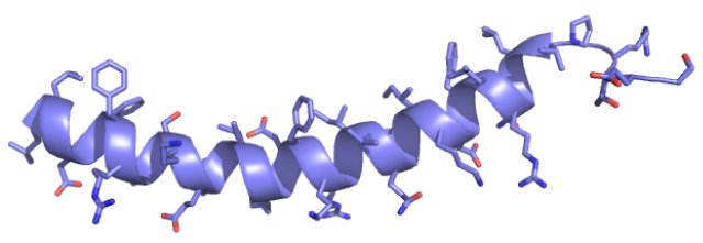 NMR peptides